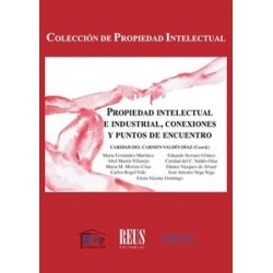 Propiedad Intelectual e Industrial, Conexiones y Puntos de Encuentro
