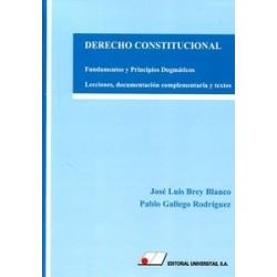 Derecho Constitucional "Fundamentos y Principios Dogmáticos. Lecciones, Documentación...