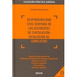 Responsabilidad Civil Derivada de los Accidentes de Circulación: Resolución de Conflictos...