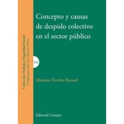 Concepto y Causas de Despido Colectivo en el Sector Público