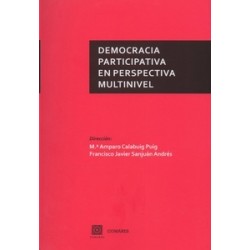 Democracia participativa en perspectiva multinivel