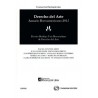 Derecho del Arte "(Duo Papel + Ebook)"