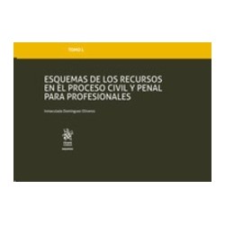 Esquemas de los Recursos en el Proceso civil y Penal para Profesionales (Papel + Ebook)