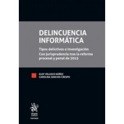 Delincuencia Informática (Papel + Ebook)