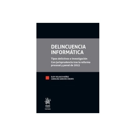 Delincuencia Informática (Papel + Ebook)