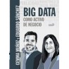 Big Data como Activo de Negocio