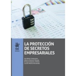 La Protección de Secretos Empresariales (Papel + Ebook)