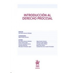 Introducción al Derecho Procesal 2019 (Papel + Ebook)