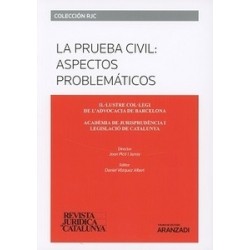 La Prueba Civil. Aspectos Problemáticos.Revista Jurídica...