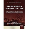 Delincuencia Juvenil On-Line. el Menor Infractor y las Tecnologías de la Información y la Comunicación