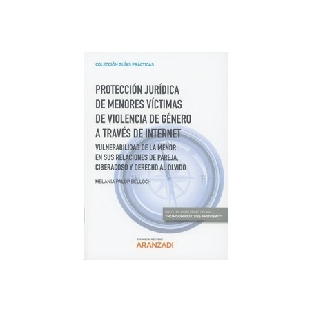 Protección Jurídica de Menores Víctimas de Violencia de Género a Través de Internet "Vulnerabilidad de la Menor en sus Relacion