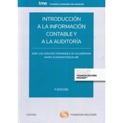 Introducción a la Información Contable y a la Auditoría