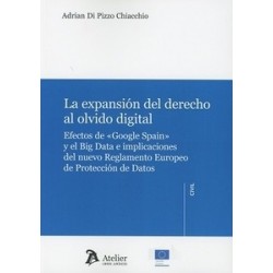 La Expansión del Derecho al Olvido Digital "Efectos de "Google Spain" y el Big Data e Implicaciones del Nuevo Reglamento Europe