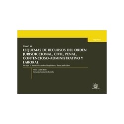 Esquemas de Recursos del Orden Jurisdiccional, Civil, Penal, Contencioso-Administrativo y Laboral...