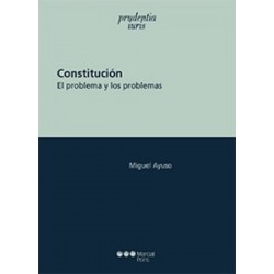 Constitución "Un Problema y sus Problemas"