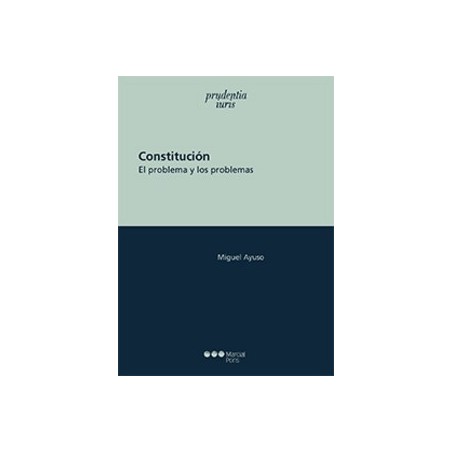 Constitución "Un Problema y sus Problemas"