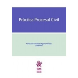 Práctica Procesal Civil