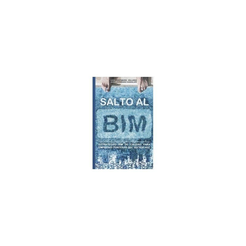 Salto al Bim. Estrategias Bim de Calidad para Empresas "Punteras del Sector Aec"
