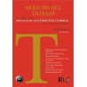 Derecho del Trabajo. un Estudio sobre las Implicaciones del Nuevo Código Civil y Comercial "Desde una Perspectiva Crítica"