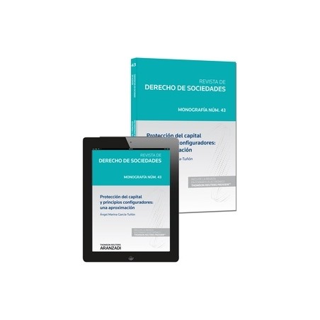 Protección del Capital y Principios Configuradores: una Aproximación "(Duo Papel + Ebook )"