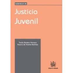 Vademécum de Justicia Juvenil "(Duo Papel + Ebook )"