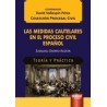 Las Medidas Cautelares en el Proceso Civil Español "Teoria y Practica"