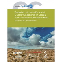 Sociedad Civil, Inclusión Social y Sector Fundacional en España. Estudios en Homenaje a Carlos Alvarez Jimenez