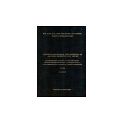Jurisprudencia Procesal Civil Comentada de las Audiencias Provinciales Vascas. Año 2004. Volumen...