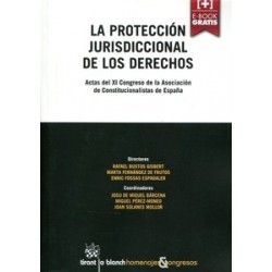 La Protección Jurisdiccional de los Derechos . Actas del XI Congreso de la Asociación de Constitucionalistas de "(Duo Papel + E