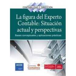 La Figura del Experto Contable: Situación Actual y Perspectivas "Bases Conceptuales y...