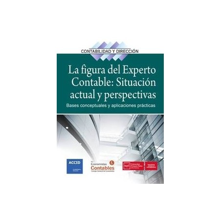 La Figura del Experto Contable: Situación Actual y Perspectivas "Bases Conceptuales y Aplicaciones Prácticas"