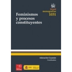 Feminismos y Procesos Constituyentes