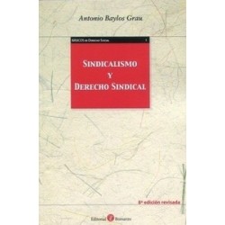 Sindicalismo y derecho sindical