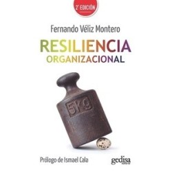 Resiliencia Organizacional