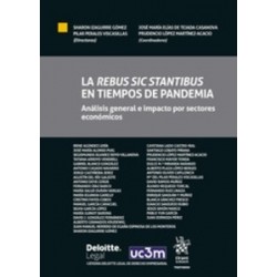 La Rebus Sic Stantibus en Tiempos de Pandemia: Análisis General e Impacto por Sectores Económicos...