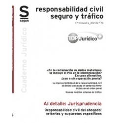Responsabilidad Civil del Abogado: Criterios y Supuestos Específicos
