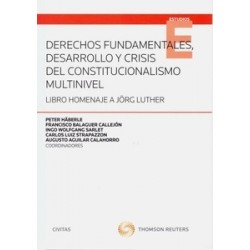 Derechos Fundamentales, Desarrollo y Crisis del Constitucionalismo Multinivel. Libro Homenaje a Jörg Luther