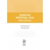 Derecho Procesal Civil. Parte Especial 2020 (Papel + Ebook)