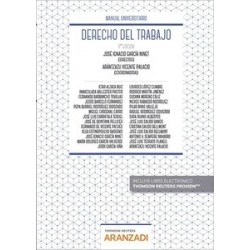 DERECHO DEL TRABAJO 2020 (Papel + Ebook)