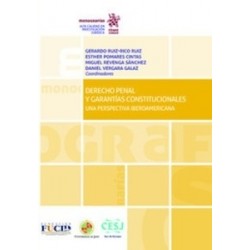 Derecho Penal y Garantías Constitucionales "Una Perspectiva Iberoamericana (Papel + Ebook)"