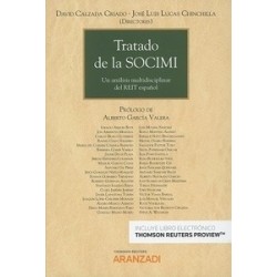 Tratado de la Socimi "Un Análisis Multidisciplinar del Reit Español"