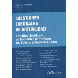 Cuestiones Laborales de Actualidad "Estudios Jurídicos en Homenaje al Profesor Dr. Feliciano...