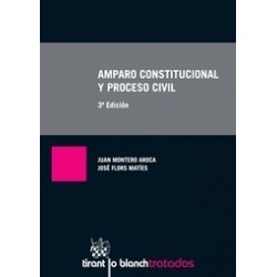 Amparo Constitucional y Proceso Civil "(Duo Papel + Ebook Actualizable)"