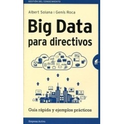 Big Data para Directivos "Guía Rápida y Ejemplos Prácticos"