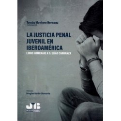 La Justicia Penal Juvenil en Iberoamérica. Libro Homenaje...
