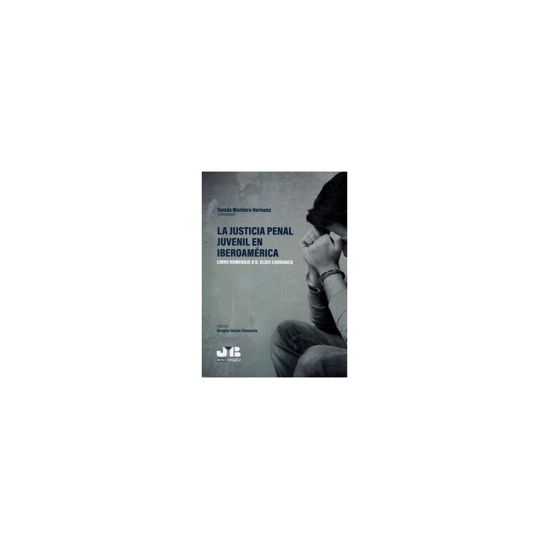 La Justicia Penal Juvenil en Iberoamérica. Libro Homenaje a D. Elías Carranza