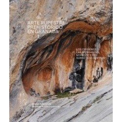ARTE RUPESTRE EN GRANADA VOL 1