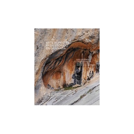 ARTE RUPESTRE EN GRANADA VOL 1
