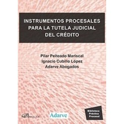 Instrumentos Procesales para la Tutela Judicial del Crédito