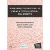 Instrumentos Procesales para la Tutela Judicial del Crédito